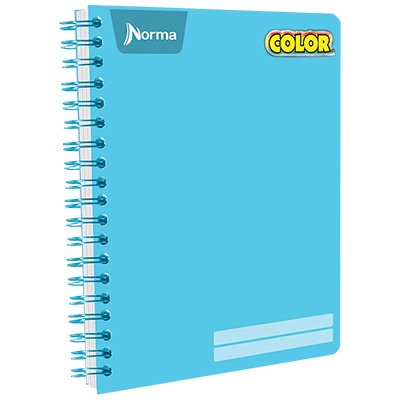 CUADERNO PROFESIONAL DE CUADRO 5 MM CON 100 HOJAS NORMA COLOR