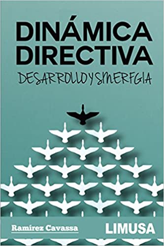 DINAMICA  DIRECTIVA