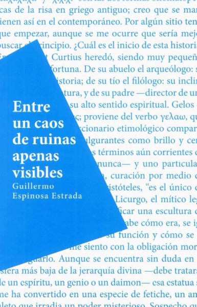 ENTRE UN CAOS DE RUINAS APENAS VISIBLE