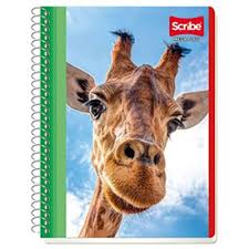 CUADERNO FRANCES ESCOLAR MEGA DE RAYAS CON 100 HOJAS SCRIBE