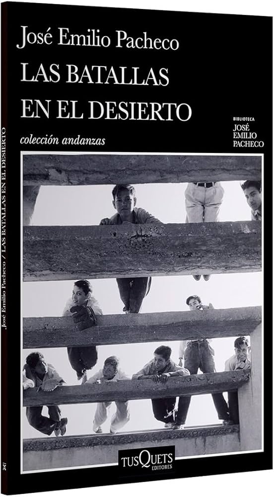 LAS BATALLAS EN EL DESIERTO